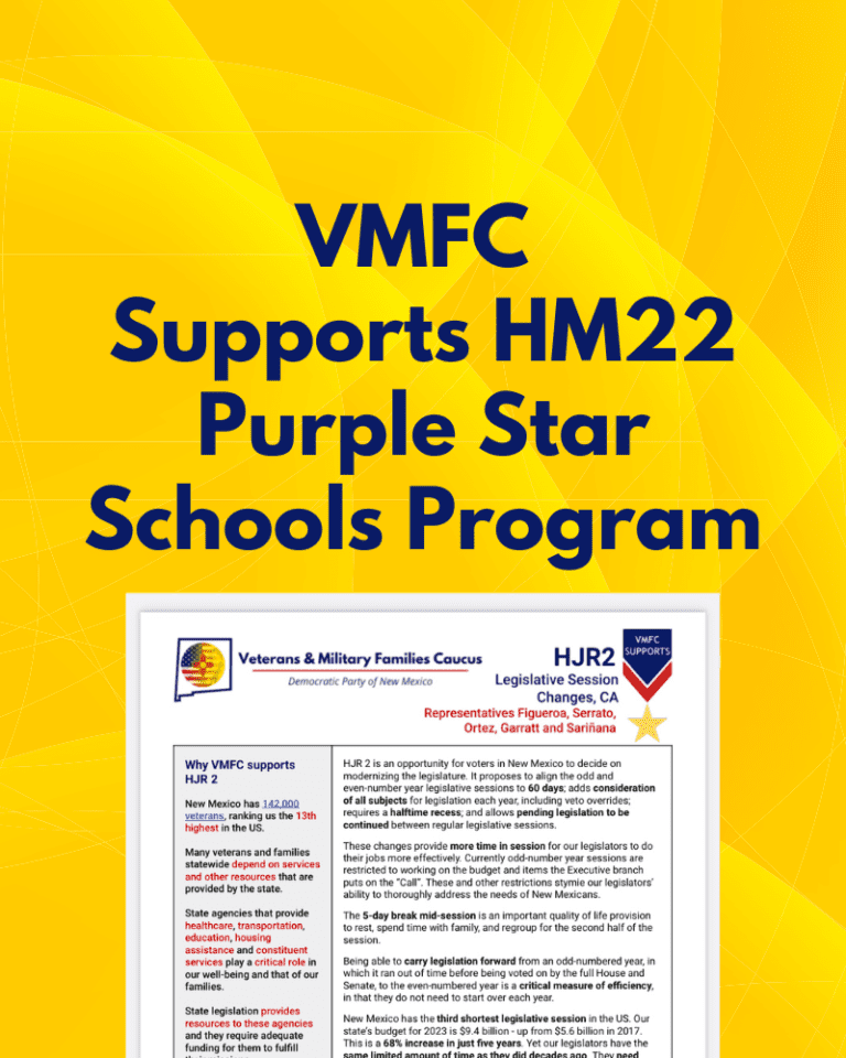 Read more about the article VMFC Supports HM 22 Purple Star Schools Program Development