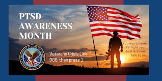 VA Vet's Crisis line, Dial 988, then press 1
