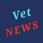 Icon - Veterans News