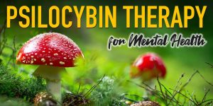 psilocybin-therapy